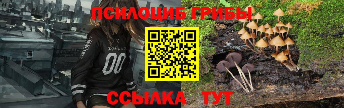 Галлюциногенные грибы мухоморы  Вход с VPN  Псилоцибиновые грибы MAGIC MUSHROOMS  где можно купить наркотик  Белореченск 